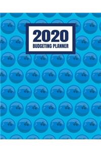 2020 Budgeting Planner