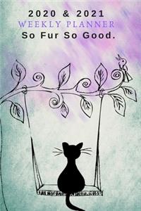 2020 - 2021 Two Year Weekly Planner - Appointment Note Book Gift - Two-Year Agenda Notebook For Cat Owners