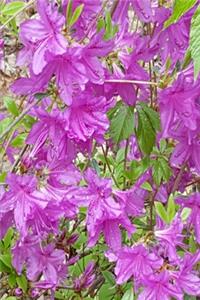 2020 Weekly Planner Purple Blooms Among Green Leaves 134 Pages
