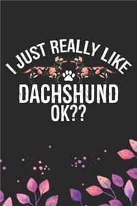 I Just Really Like Dachshund Ok?