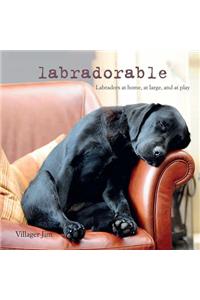 Labradorable