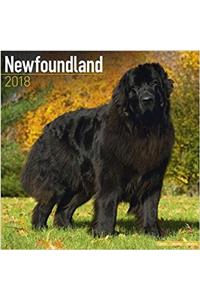 Newfoundland Calendar 2018