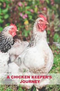 A Chicken Keeper's Journey
