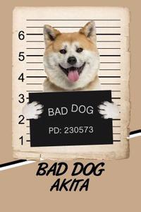 Bad Dog Akita