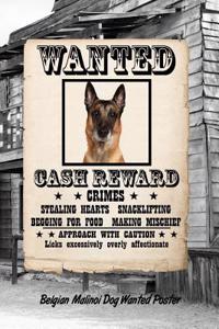 Belgian Malinoi Dog Wanted Poster