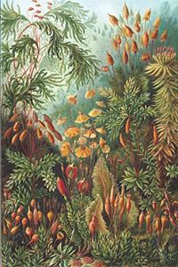 Haeckel Scientific Biological Art Notebook