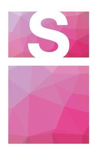 S Initial Notebook