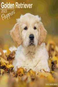 Golden Retriever Puppies 2023 Wall Calendar