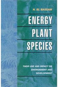 Energy Plant Species