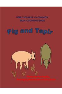 Pig and Tapir