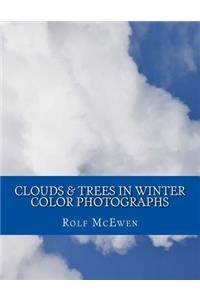 Clouds & Trees in Winter - Color Photographs