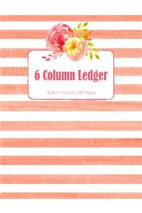 6 Column Ledger