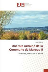 vue urbaine de la Commune de Maroua II