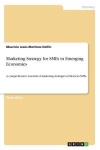 Marketing Strategy for SMEs in Emerging Economies