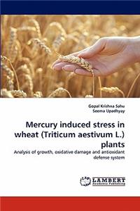 Mercury induced stress in wheat (Triticum aestivum L.) plants