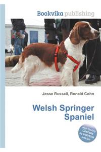 Welsh Springer Spaniel