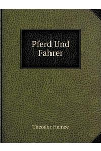 Pferd Und Fahrer