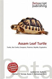 Assam Leaf Turtle