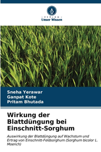 Wirkung der Blattdüngung bei Einschnitt-Sorghum