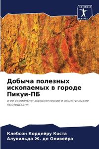 Добыча полезных ископаемых в городе Пикm
