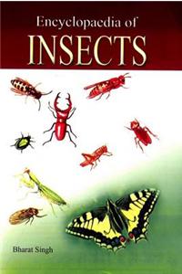 Encyclopaedia of Insects