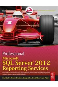 Professional Microsoft Sql Server 2012 Reporting Services