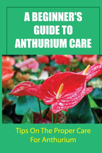 Beginner's Guide To Anthurium Care