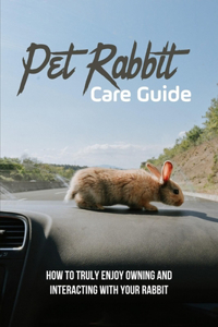 Pet Rabbit Care Guide