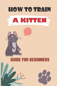 How To Train A Kitten