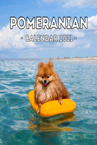 Pomeranians