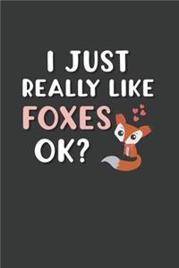 I Just Really Like Foxes OK?