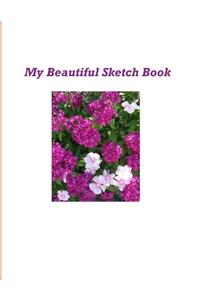 My Beautiful Sketch Book