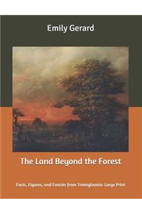 The Land Beyond the Forest