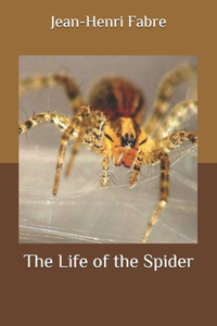 The Life of the Spider