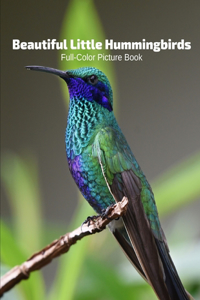 Beautiful Little Hummingbirds Full-Color Picture Book