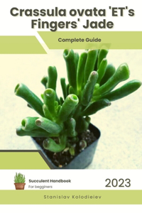 Crassula ovata 'ET's Fingers' Jade