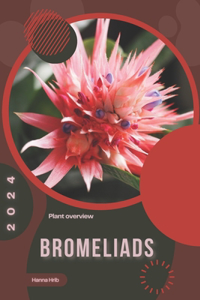 Bromeliads