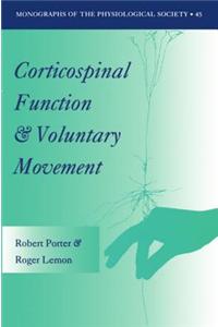 Corticospinal Function and Voluntary Movement
