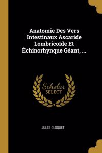 Anatomie Des Vers Intestinaux Ascaride Lombricoïde Et Échinorhynque Géant, ...