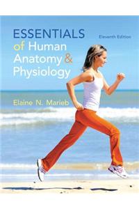 Essentials of Human Anatomy & Physiology Plus Masteringa&p with Etext -- Access Card Package