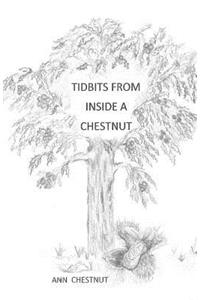 TIDBITS from INSIDE a CHESTNUT