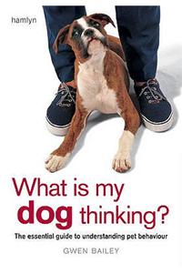What is my Dog Thinking?