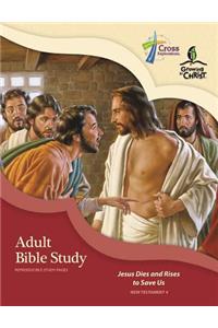 Adult Bible Study (Nt4)