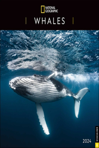 National Geographic: Whales 2024 Wall Calendar