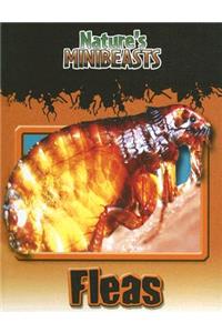 Fleas