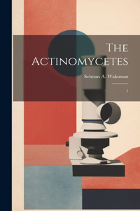 Actinomycetes