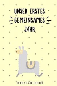 Unser Erstes Gemeinsames Jahr Babytagebuch