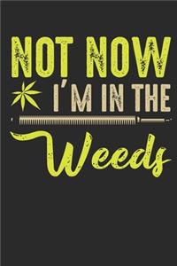 Not Now I´m In The Weeds