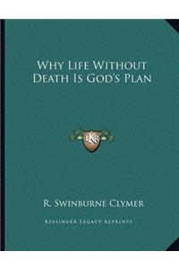 Why Life Without Death Is God's Plan