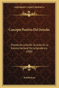 Concepto Positivo Del Derecho